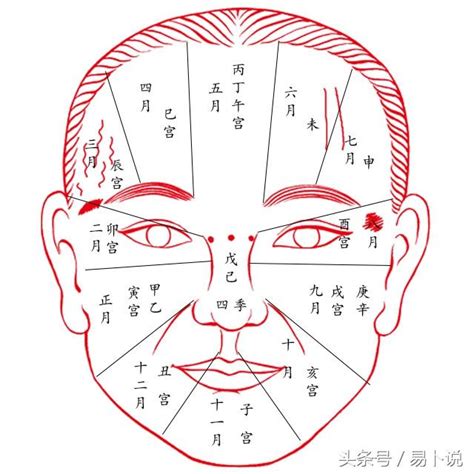 面相氣色|【面相氣色】面相氣色：開啟你的面相密碼，預測運勢、健康！